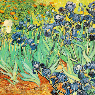 Irises